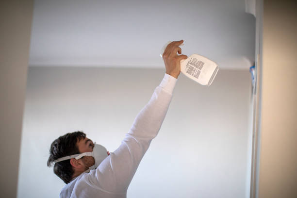 Best Attic Mold Removal  in Lonaconing, MD